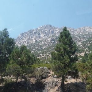 Meet your Posher, Jcesar